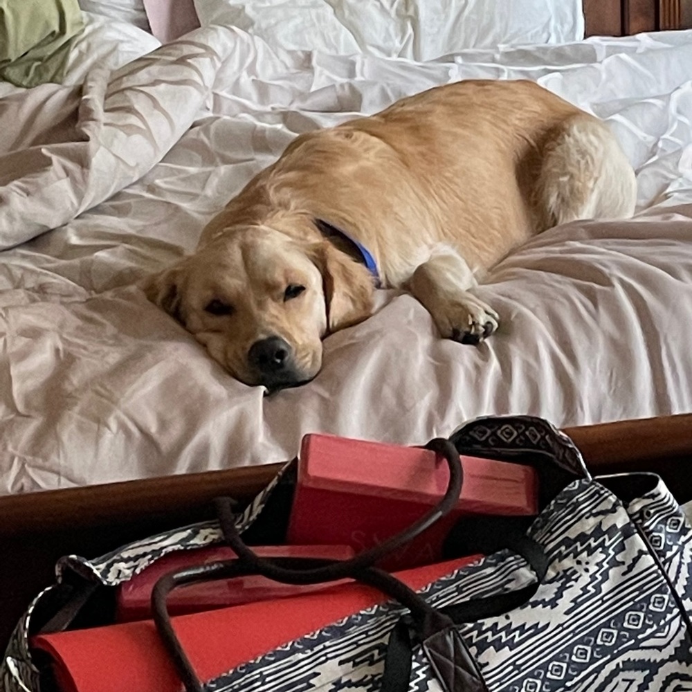 Meet your Posher, Erin